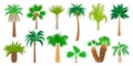 Palm tree clipart. Cartoon palms with leaves, fruits and coconuts. Isolated flat exotic nature elements, neoteric vector Royalty Free Stock Photo