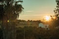 Palm tree and cottage at sunset on a farmstead Royalty Free Stock Photo