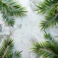 Palm Tree Covered in Snow Royalty Free Stock Photo