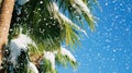 A palm tree covered in snow on a sunny day, perfect for winter or holiday-themed visuals Royalty Free Stock Photo