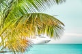 Palm tree and a cruise ship in the Caribbean Royalty Free Stock Photo