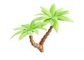 Palm tree 3d render - tropical plant with green leaves and brown trunk for beach vacation and summer travel concept.