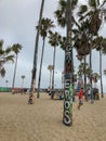 Palm tree decorated or destroyed with graffiti at Venice Beach