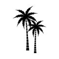 A palm tree vector set.