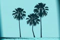 palm tree drawing minimalism. Generative AI Royalty Free Stock Photo