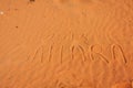 Sand Dunes of Erg Chebbi int he Sahara Desert, Morocco Royalty Free Stock Photo