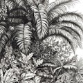 Palm tree and exotic flowers ink drawing at white paper, sketch Royalty Free Stock Photo