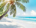 A palm tree is in the foreground of a beach scene. The palm tree is the main focus of the image, and the beach is the background Royalty Free Stock Photo