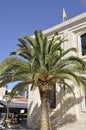 Palm tree front of the Church of Saint Titus from Heraklion in Crete island of Greece Royalty Free Stock Photo