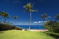 Palm tree in front of Ulua Beach, south Maui, Hawaii, USA