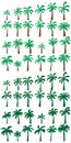 Palm tree green set