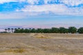 Palm tree grove and the Edom mountains Royalty Free Stock Photo