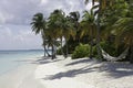 Palm Tree and a Hammock, Maldives Royalty Free Stock Photo