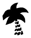 Palm tree hand painted with brush. Doodle cartoon coconut palmtree icon isolated on white background