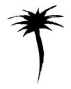 Palm tree hand painted with brush. Doodle cartoon coconut palmtree icon isolated on white background