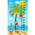 Palm tree height measure with monkeys Royalty Free Stock Photo