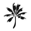 Palm tree icon in black style isolated on white background. Surfing symbol stock vector illustration. Royalty Free Stock Photo