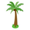 Palm tree icon, isometric 3d style Royalty Free Stock Photo