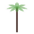 Palm tree icon, isometric style Royalty Free Stock Photo