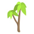 Palm tree icon, isometric style Royalty Free Stock Photo