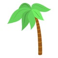 Palm tree icon, isometric style Royalty Free Stock Photo