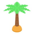 Palm tree icon, isometric style Royalty Free Stock Photo