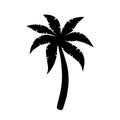 Palm tree icon. Logo coconut palm. Black silhouette palm isolated on white background. Coconuts palmtree for design summer prints. Royalty Free Stock Photo