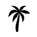 Palm tree icon. Logo coconut palm. Black silhouette palm isolated on white background. Coconuts palmtree for design summer prints.