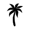 Palm tree icon. Logo coconut palm. Black silhouette palm isolated on white background. Coconuts palmtree for design summer prints. Royalty Free Stock Photo