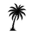 Palm Tree Icon Logo Vector Illustration Isolated on White Background Royalty Free Stock Photo