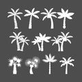 Palm tree icon set, vector eps10 Royalty Free Stock Photo