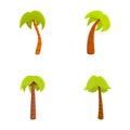 Palm tree icons set cartoon vector. Various green tropical palm