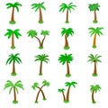 Palm tree icons set, isometric 3d style Royalty Free Stock Photo