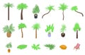 Palm tree icons set, isometric style Royalty Free Stock Photo