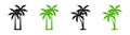 Palm tree icons. Vector palm icons. Tropical tree silhouettes Royalty Free Stock Photo