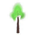 Palm tree island icon, isometric style Royalty Free Stock Photo
