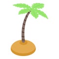 Palm tree at island icon, isometric style Royalty Free Stock Photo