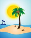 Palm Tree Island Sunny Day Royalty Free Stock Photo