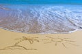 Palm Tree on an island under the sun drawing on wet beach sand a Royalty Free Stock Photo