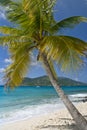 Palm Tree Islands Sailing Royalty Free Stock Photo