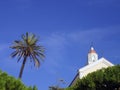 Palm tree and Italian church Royalty Free Stock Photo