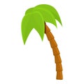 Palm tree in jungle icon, cartoon style