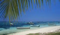 Palm tree and lagoon at Bain Beauf beach Royalty Free Stock Photo