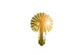 Palm tree in the lamp bulb on the white background. New idea concept