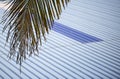 Palm tree leaf above the roof Royalty Free Stock Photo