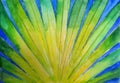 Palm Tree Leaf