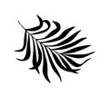 Palm leaf black vector silhouette.