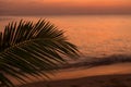 Palm tree leaf on blur tropical sunset beach background. Travel concept template. Royalty Free Stock Photo