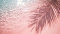 A Palm Tree Leaf Is Casting A Shadow On A Pink Beach Royalty Free Stock Photo
