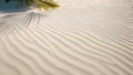 Palm tree leaf casting shadow on warm sand of tropical island tourist resort during summer holiday vacation Royalty Free Stock Photo